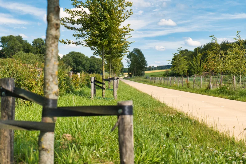 Expertise in buitenruimtes